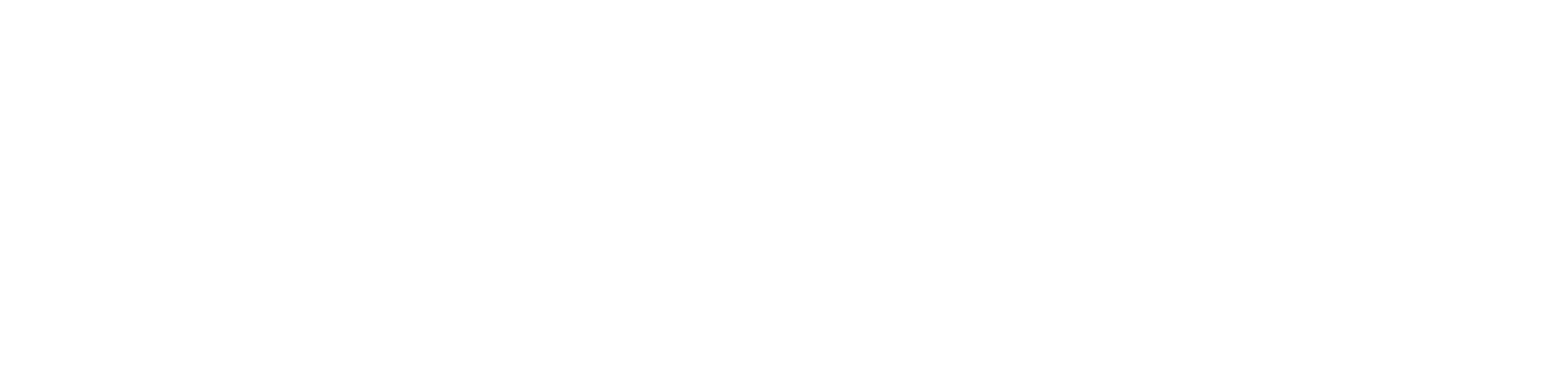 IPSUM instytut szkoleniowy